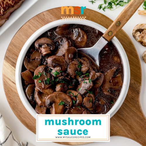 BEST Mushroom Sauce Recipe Easy Mushroom Sauce For Steak   Mushroom Sauce FB 500x500 