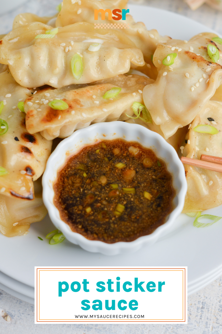 BEST Pot Sticker Sauce Recipe (Only 6 Ingredients 10 Minutes!)