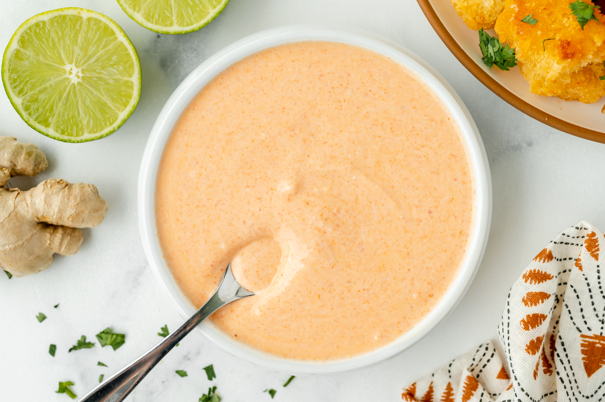 overhead shot of spoon in bowl of sauce